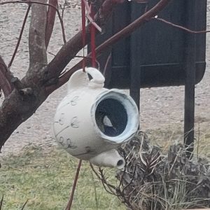 Tekande til fuglefoder