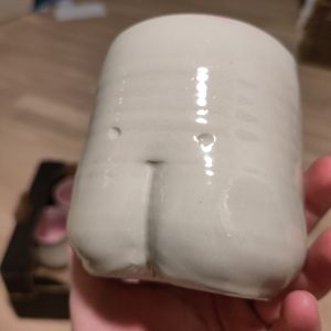 Lækkermås (røv uden ører)