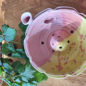 bærskål rosa/gul