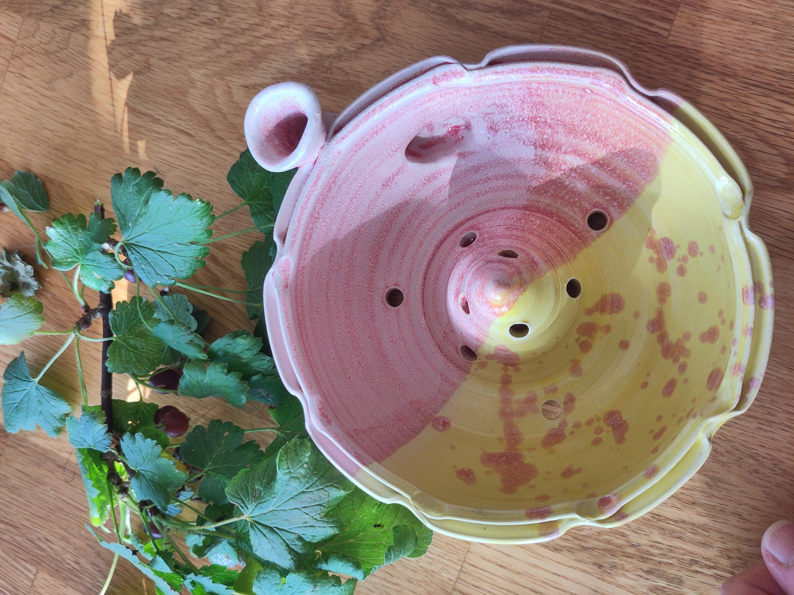bærskål rosa/gul