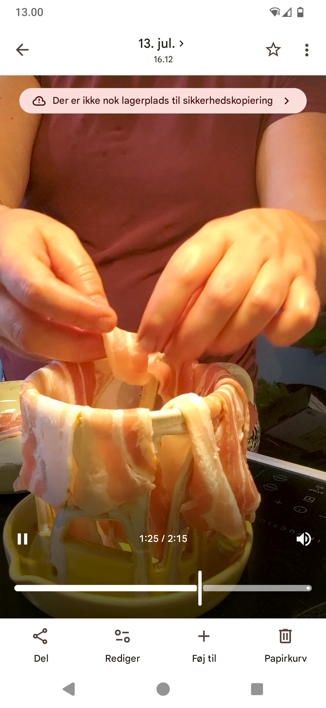 Baconfidus salvie blå - Billede 2